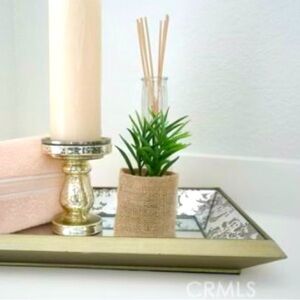 Small Silk Plant Brand New